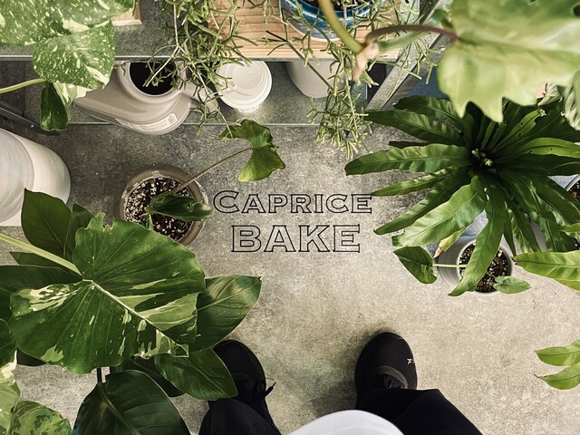 CAPRICE BAKE photo 5