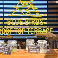 BLUE BIRDS ROOF TOP TERRACE - 