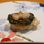 琉球鮨 築地青空三代目 - ☆シャコ貝☆