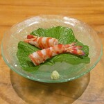 琉球鮨 築地青空三代目 - ☆ミディアムレアな車海老ちゃん☆