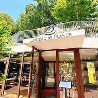 Loiseau de France - 