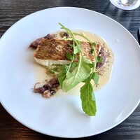 THE COSMOPOLITAN GRILL BAR TERRACE - 