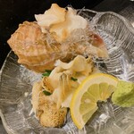 すし おおまさ - ツブ貝