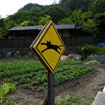 鹿教湯 三水館 - 宿前の菜園