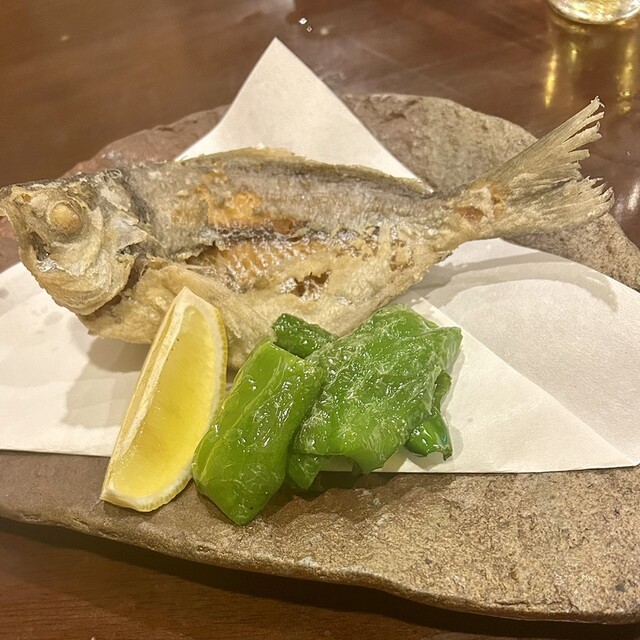 Misaki Yoshida photo 5