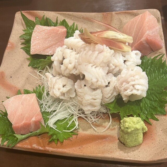 Misaki Yoshida photo 3