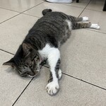 世界豆漿大王 - ポキちゃん