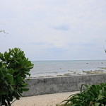 旬家ばんちゃん - 近くに海岸