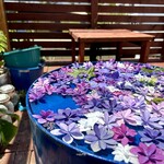 カフェモン - テラスには紫陽花のフローティングフラワー❁❁❁