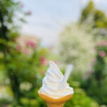 レガーロ - ミニソフトクリーム