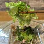 ビストロ セレニテ - 