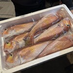 ビストロ セレニテ - 