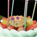 パティスリーモン・シェリ - フルーツデコレーションケーキ（2008.12月 購入）