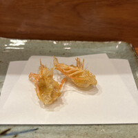 天冨良 よこ田 - 