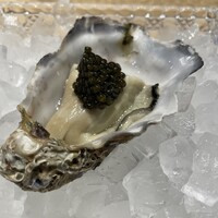 鮓 有無 - 生牡蠣