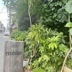MOLE - 