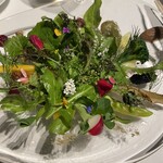 レフェルヴェソンス - 