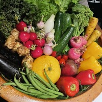 レフェルヴェソンス - 