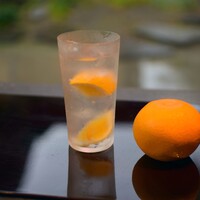 季節のサワー