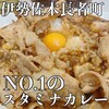 スタミナカレーの店 バーグ 弥生町店