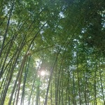 そば処 三百坊 - 店主さんをカメラマンさんかと…