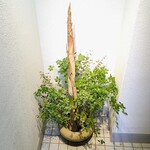 割烹 隆 - 階段を降りて出迎えてくれるお花でーす。