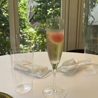 ヌキテパ -  ヌキテパ -