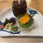 魚将　さかなちゃん - 