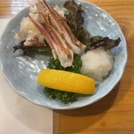 魚将　さかなちゃん - 