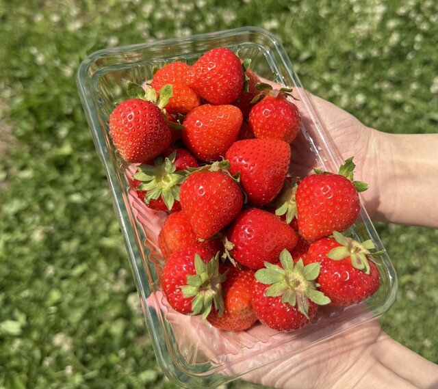 定山渓ファーム - 札幌市南区その他（ハンバーガー）の写真