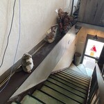 Outdoor Chill Dining ＷARMTH - 入店の際には階段昇降が必須です。