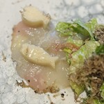 シンスケヤマモト - 