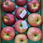 ナカムラフルーツ農園 - 