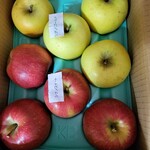 ナカムラフルーツ農園 - 