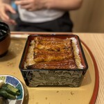 ぽんぽこ亭 丸広百貨店 - 