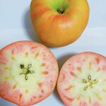 ナカムラフルーツ農園 - 