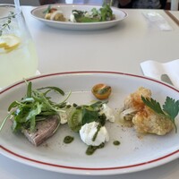 CODA ROSSA -  CODA ROSSA -