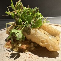 GapricE - 