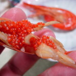 ホテル川畑 - エビのたまご