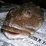 ホテル川畑 - 私は４０センチです。