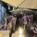 HAUTE COUTURE CAFE OMOTESANDO - 