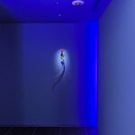 EL DORADO / ホテル イル・パラッツォ - 