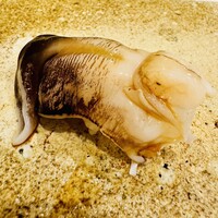 鮨 もりなり - 