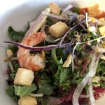 ヨロ研カフェ - パワーサラダ