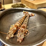 鮨 匠海 - 本日 頂く 車海老 (((o(*ﾟ▽ﾟ*)o)))♡