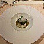 コートロティ - 