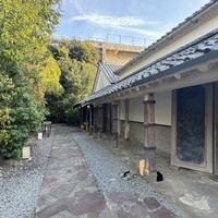 タケル クインディチ(LOQUAT) 西伊豆 - 