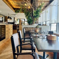 800°DEGREES ARTISAN PIZZERIA - 