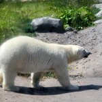 ES CON FIELD HOKKAIDO - 