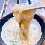 山越うどん - かまたまやま アップ